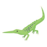 Long nose lizard icon, isometric style vector