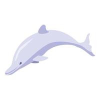 White dolphin icon, isometric style vector