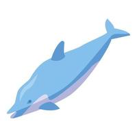 Blue dolphin icon, isometric style vector