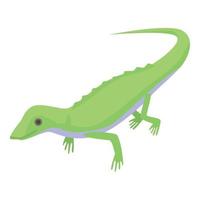 Green lizard icon, isometric style vector