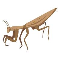 Brown mantis icon, isometric style vector