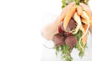 Vegetables  over white background photo