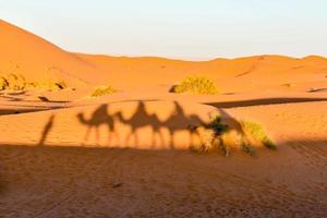 Desert landscape in Morocco photo