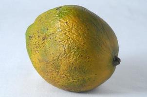 Ripe Mango Fruit photo