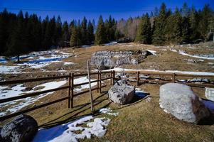 paisaje nevado de invierno foto