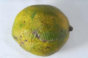 Ripe Mango Fruit photo