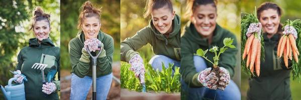 Beautiful image collage of young woman gardener photo