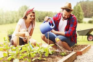 pareja joven plantando vegetales orgánicos foto