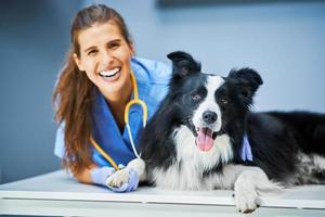 Female vet examining a dog in clinic photo