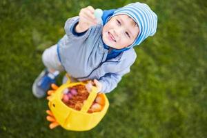 Little boy wearing protective mask hunting for Easter egg in spring garden. photo