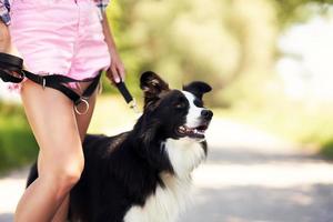 Midsection of woman strolling with her pet at leisure photo