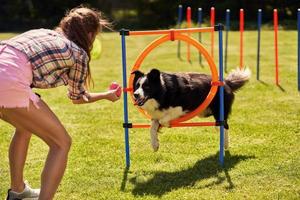 perro border collie y una mujer en un campo de agilidad foto