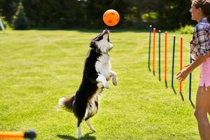 perro border collie y una mujer en un campo de agilidad foto