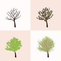 cuatro estaciones florecen otoño primavera árbol flores ciclo de vida ilustración vectorial vector