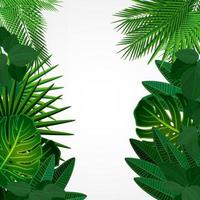 Tropical leaves green backround. vector