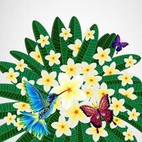 Floral design background. Plumeria flowers with bird, butterflies. vector