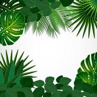 Tropical leaves green backround. vector