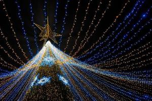 Christmas tree-shaped sparklers on black background photo