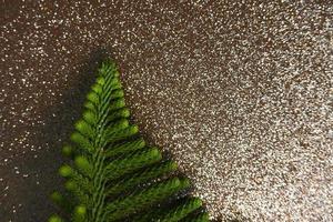 Christmas pine leaves with space for text and shiny background photo