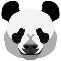 Cute panda bear face isolated on white background. vector