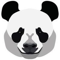 Cute panda bear face isolated on white background. vector