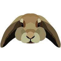 Vector illustration of the face of a cute cartoon bunny. Cute bunny vector graphic icon. rabbit animal head, face illustration. Isolated on white background