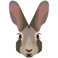 Vector Cartoon Hare Head. Front View.
