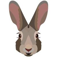 Vector Cartoon Hare Head. Front View.