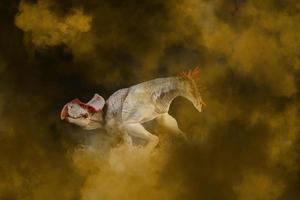 protoceratops, dinosaurio sobre fondo de humo foto