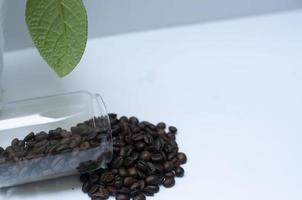 los granos de café caen sobre el vidrio blanco. foto conceptual sobre el café
