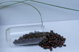 Coffee beans drops on white glass. Concept photo about coffee
