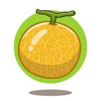 art illustration of cute cartoon melon, flat cartoon style icon. vector