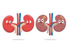 Kidney Cartoon Vector Art, Icons, and Graphics for Free Download