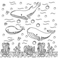 Whale Coloring Page Colored Illustration vector