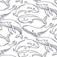 pattern of blue whales with seashells and stars. Kids cloths, background, pattern, design, fabric. vector