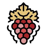 Bunch of grapes with leaf icon color outline vector