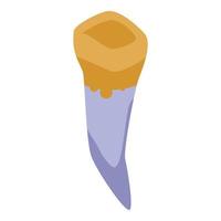 Caries tooth icon, isometric style vector