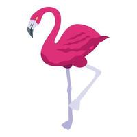 Queen flamingo icon isometric vector. Zoo bird vector