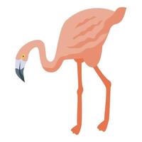Crown flamingo icon isometric vector. Cute animal vector