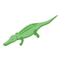 Safari crocodile icon isometric vector. Alligator animal vector