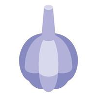 Garlic icon isometric vector. Clove illustration vector