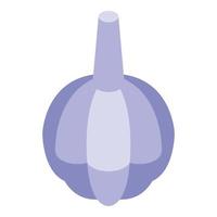 Garlic icon isometric vector. Clove illustration vector