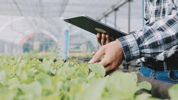 agricultora trabajando temprano en la granja sosteniendo una cesta de madera de verduras frescas y tabletas video