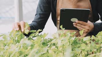 female farmer working early on farm holding wood basket of fresh vegetables and tablet video