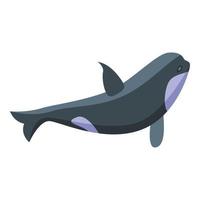 Sea killer whale icon, isometric style vector
