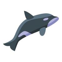 Killer whale fast icon, isometric style vector