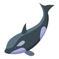 Killer whale jump icon, isometric style vector