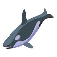 Hungry killer whale icon, isometric style vector