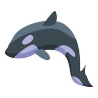 Toothy killer whale icon, isometric style vector