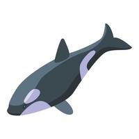 Cute killer whale icon, isometric style vector